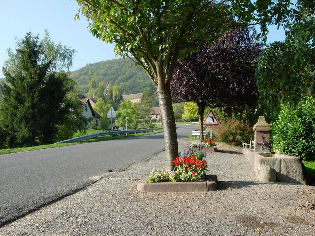 Hotel Restaurant Kleiber Saint-Jean-Saverne Dış mekan fotoğraf